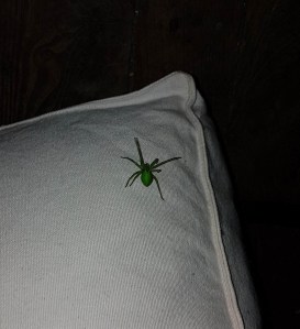 green spider