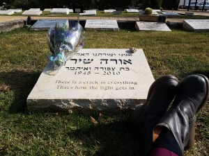 TShiran20170117131815261